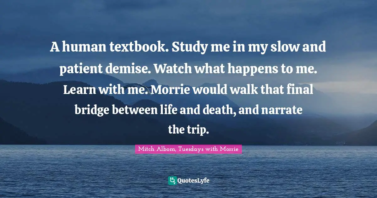 A human textbook. Study me in my slow and patient demise. Watch what happens to me. Learn with me. Morrie would walk that final bridge between life and death, and narrate the trip.