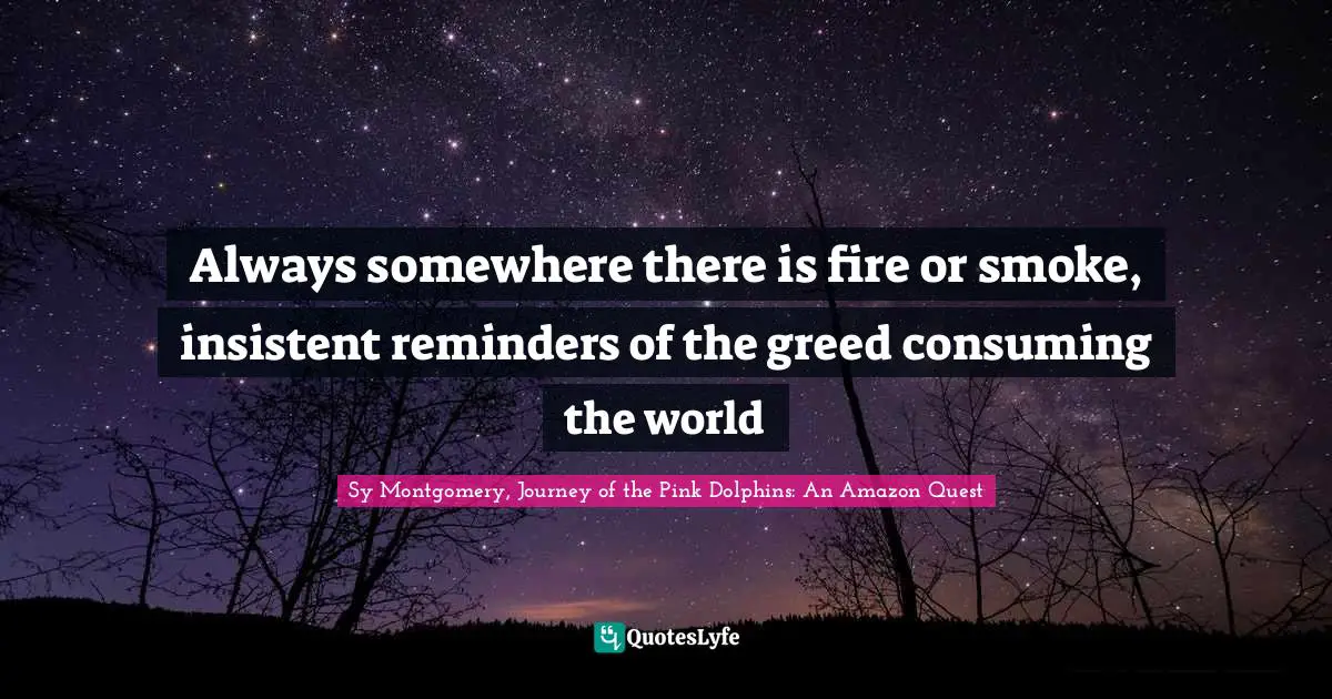 Always somewhere there is fire or smoke, insistent reminders of the greed consuming the world