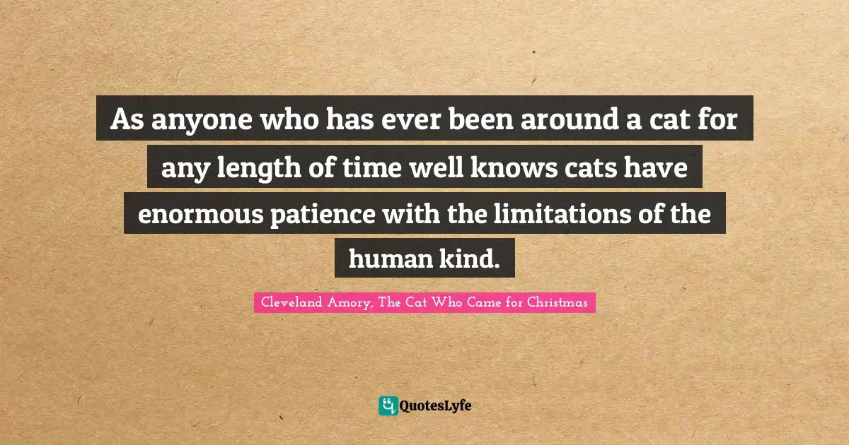 As anyone who has ever been around a cat for any length of time well knows cats have enormous patience with the limitations of the human kind.