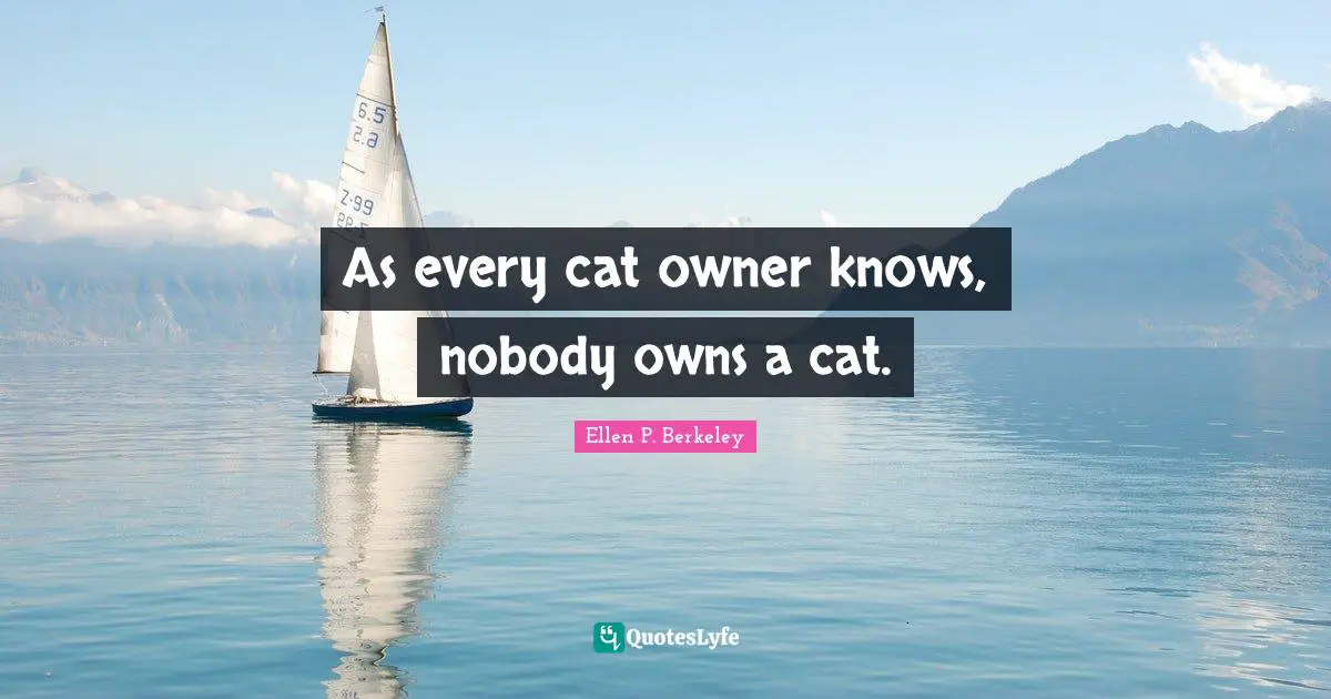 As every cat owner knows, nobody owns a cat.