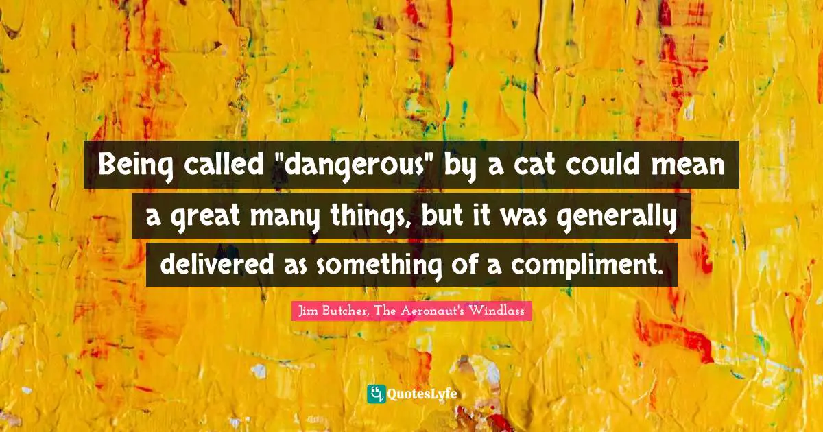 Being called "dangerous" by a cat could mean a great many things, but it was generally delivered as something of a compliment.