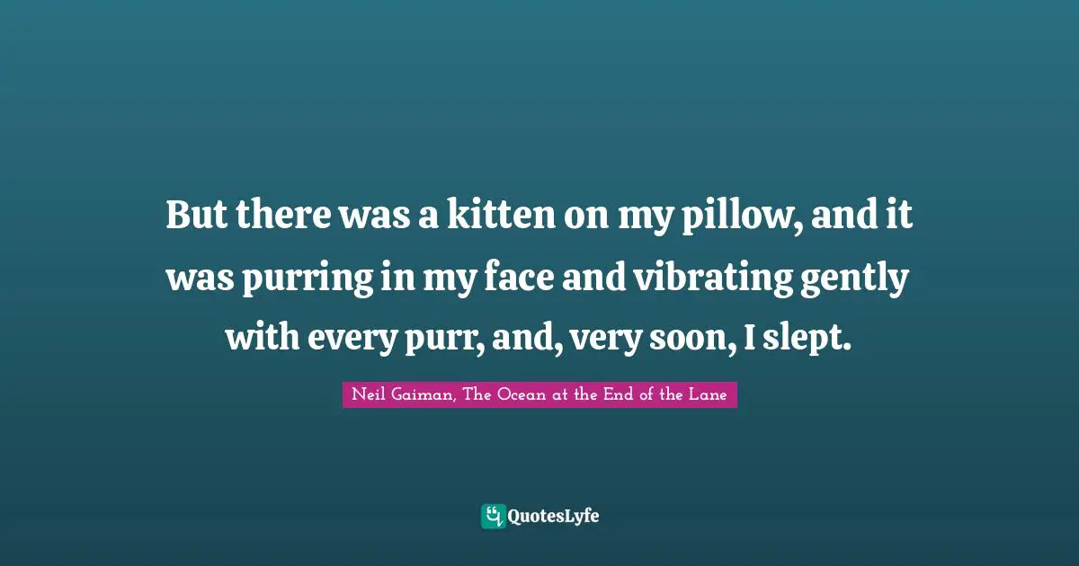 But there was a kitten on my pillow, and it was purring in my face and vibrating gently with every purr, and, very soon, I slept.