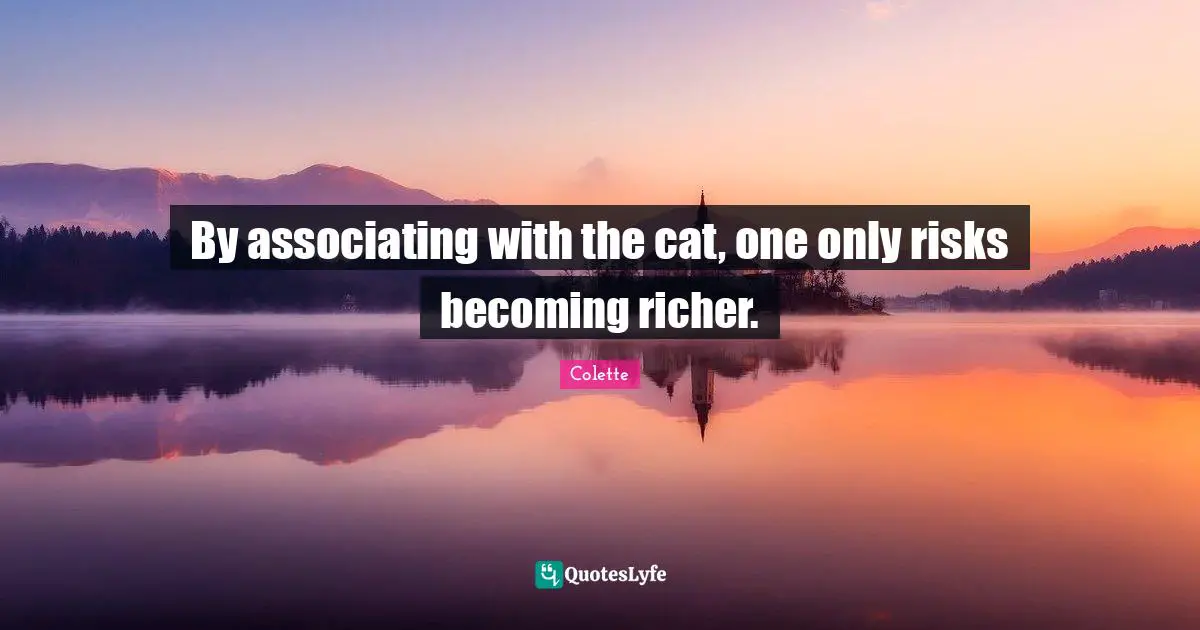 By associating with the cat, one only risks becoming richer.