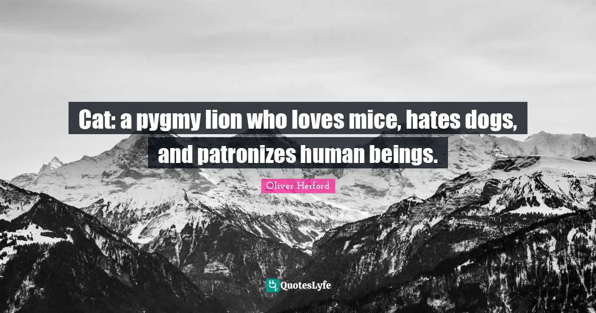 Cat: a pygmy lion who loves mice, hates dogs, and patronizes human beings.