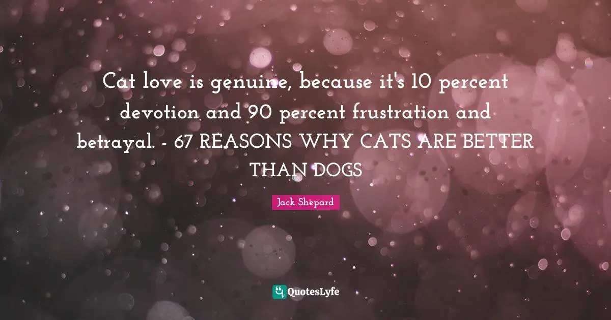 Cat love is genuine, because it's 10 percent devotion and 90 percent frustration and betrayal. - 67 REASONS WHY CATS ARE BETTER THAN DOGS