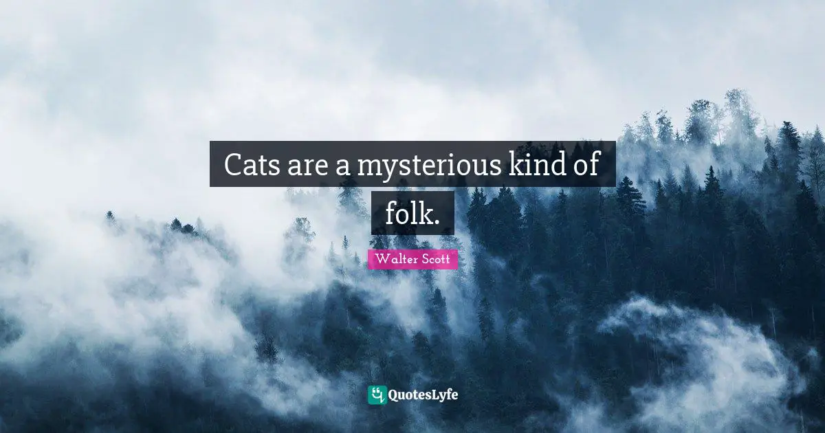 Walter Scott Quotes: Cats are a mysterious kind of folk.