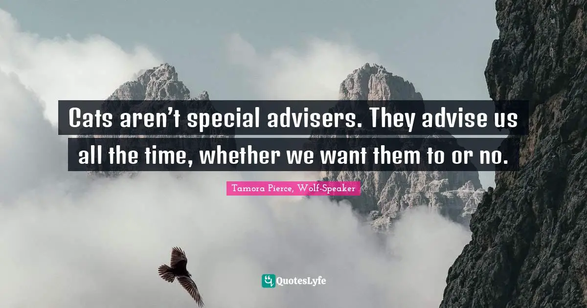 Cats aren’t special advisers. They advise us all the time, whether we want them to or no.