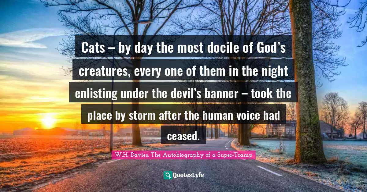 Cats – by day the most docile of God’s creatures, every one of them in the night enlisting under the devil’s banner – took the place by storm after the human voice had ceased.