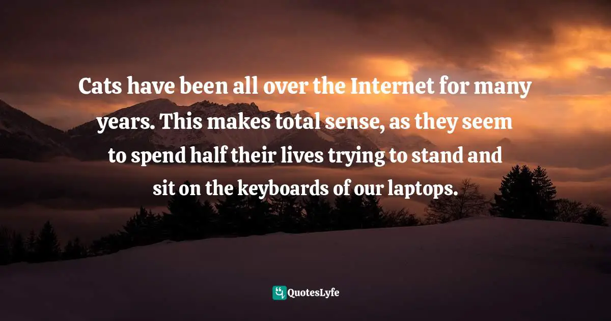 Cats have been all over the Internet for many years. This makes total sense, as they seem to spend half their lives trying to stand and sit on the keyboards of our laptops.