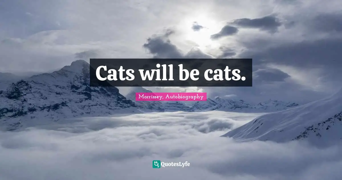 Cats will be cats.