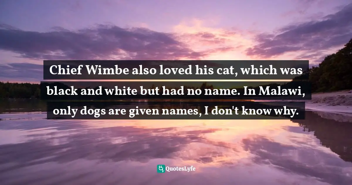 Chief Wimbe also loved his cat, which was black and white but had no name. In Malawi, only dogs are given names, I don't know why.