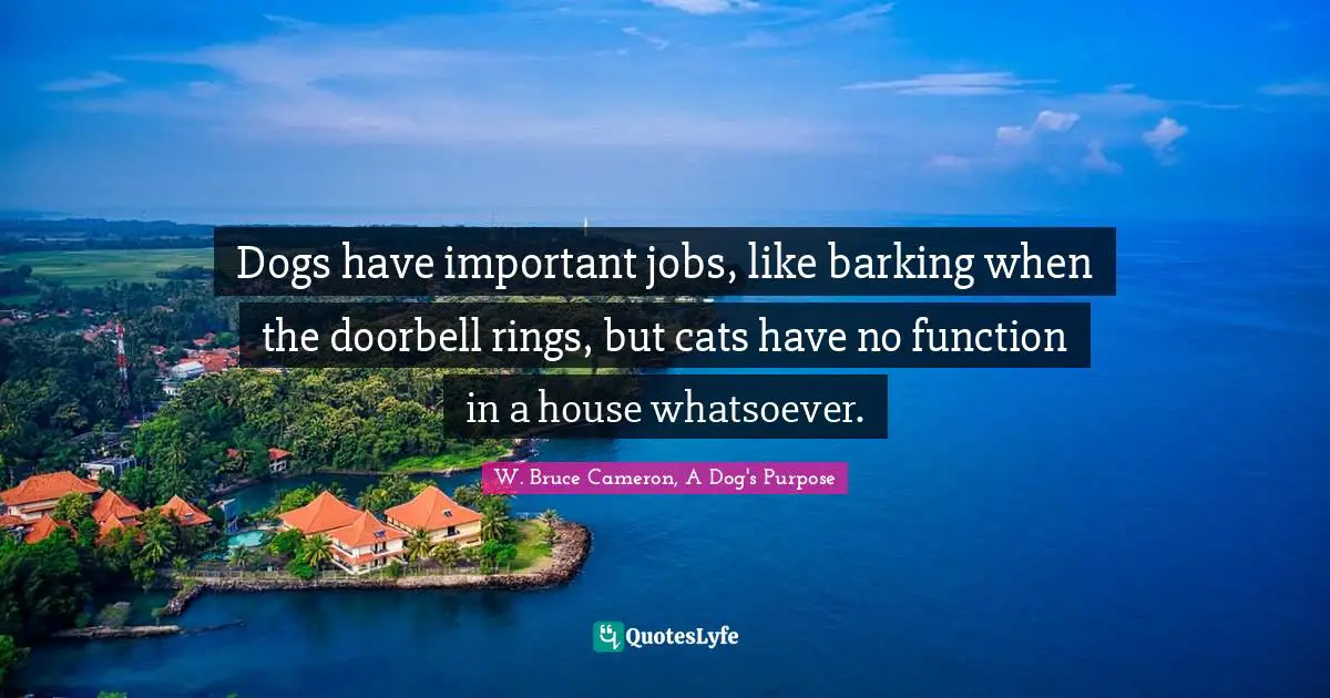 Dogs have important jobs, like barking when the doorbell rings, but cats have no function in a house whatsoever.