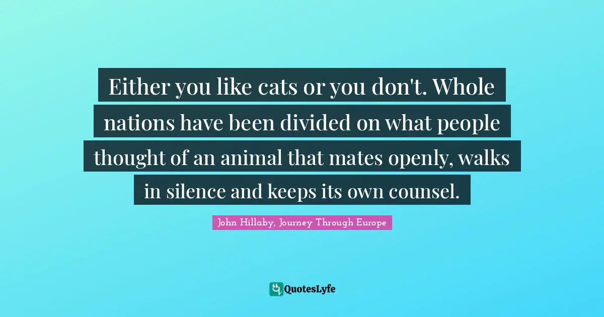 Either you like cats or you don't. Whole nations have been divided on what people thought of an animal that mates openly, walks in silence and keeps its own counsel.