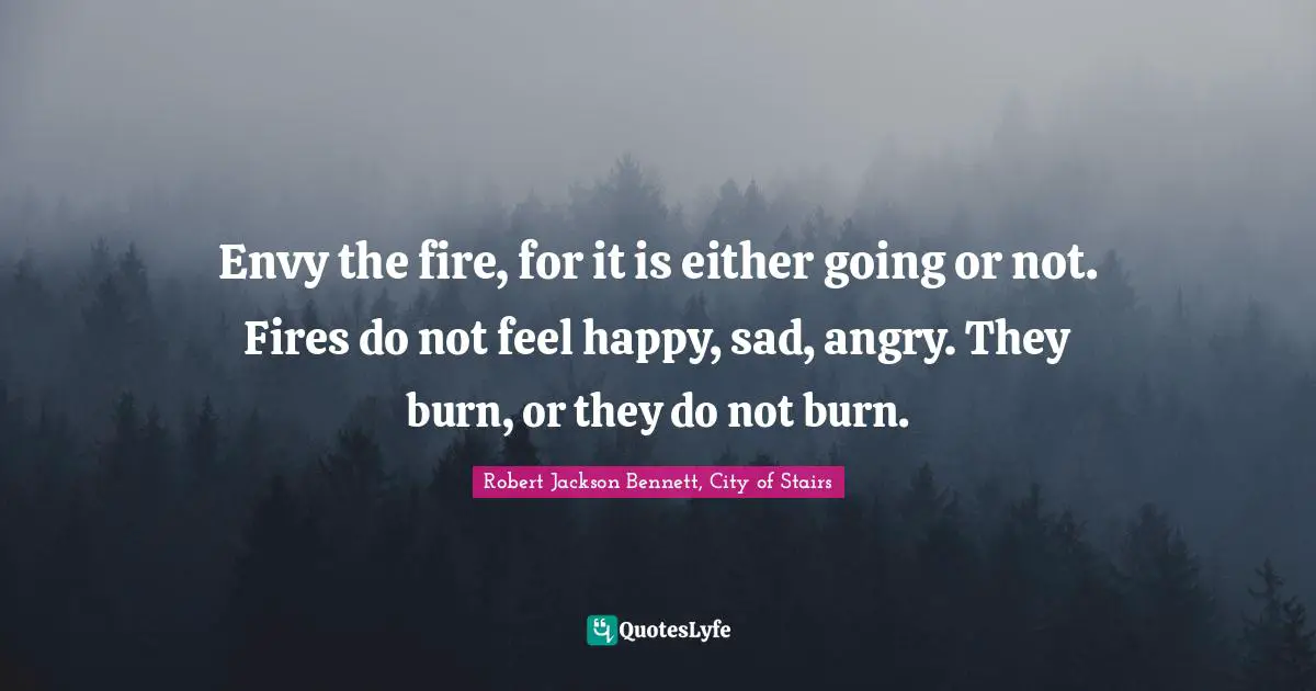 Envy the fire, for it is either going or not. Fires do not feel happy, sad, angry. They burn, or they do not burn.