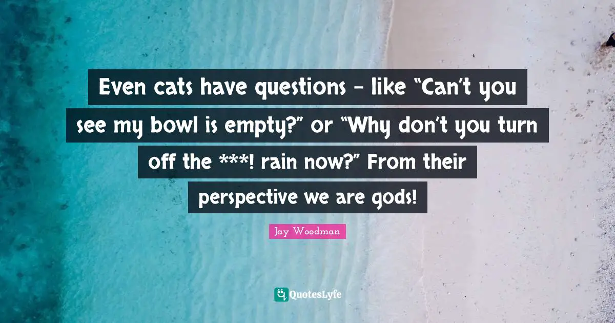Questions In Life Quotes: "Even cats have questions – like “Can’t you see my bowl is empty?” or “Why don’t you turn off the ***! rain now?” From their perspective we are gods!"