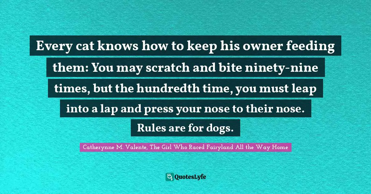 Every cat knows how to keep his owner feeding them: You may scratch and bite ninety-nine times, but the hundredth time, you must leap into a lap and press your nose to their nose. Rules are for dogs.