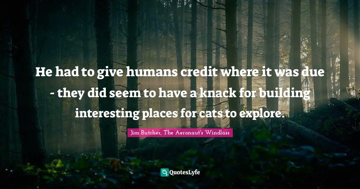 He had to give humans credit where it was due - they did seem to have a knack for building interesting places for cats to explore.
