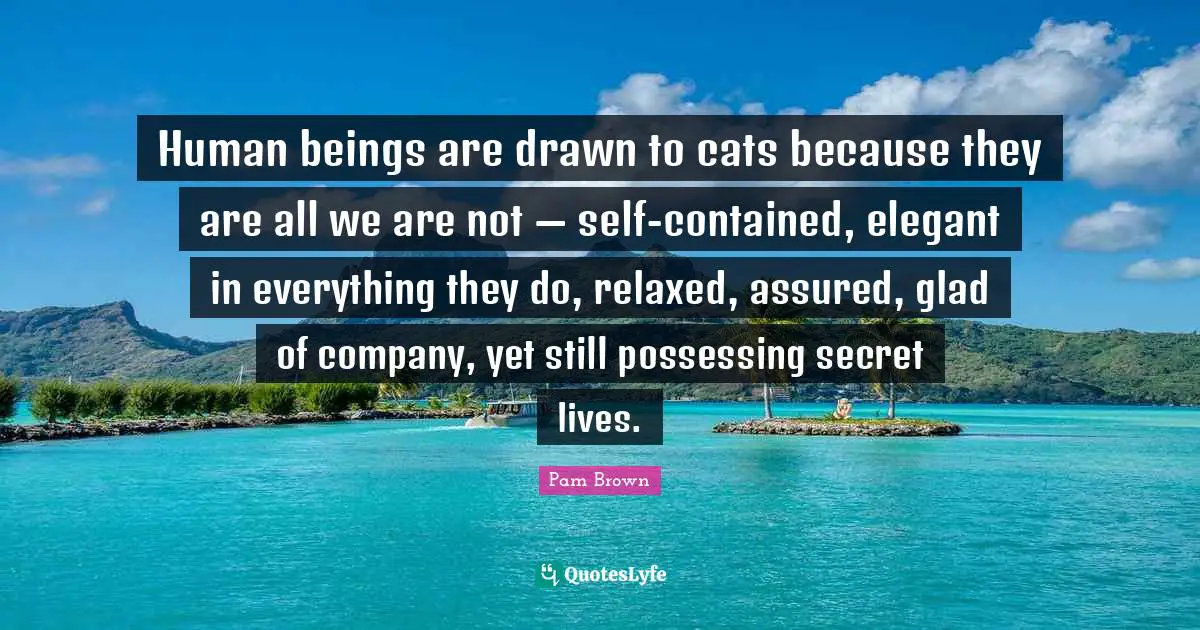 Human beings are drawn to cats because they are all we are not — self-contained, elegant in everything they do, relaxed, assured, glad of company, yet still possessing secret lives.