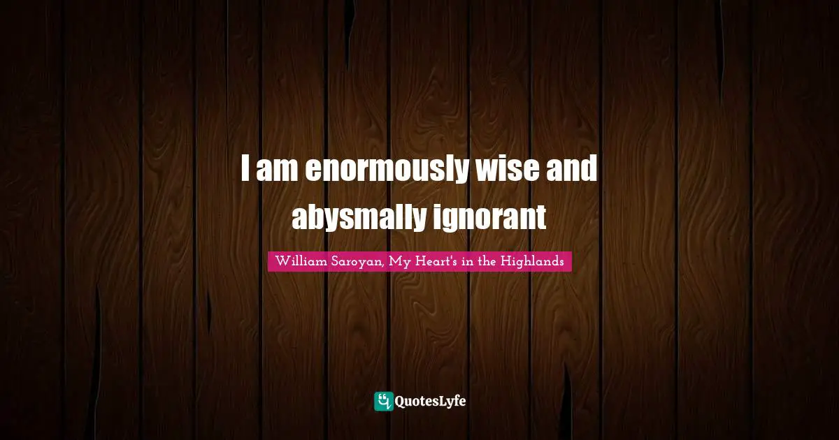 I am enormously wise and abysmally ignorant