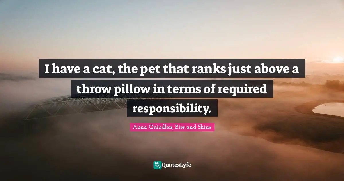 I have a cat, the pet that ranks just above a throw pillow in terms of required responsibility.