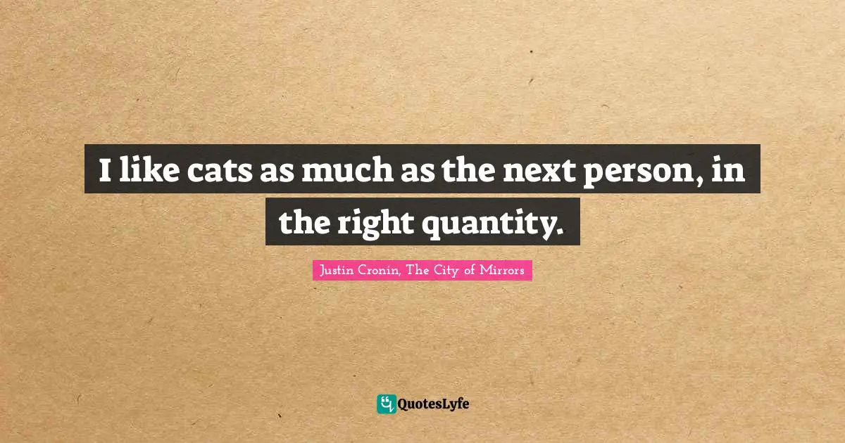 I like cats as much as the next person, in the right quantity.