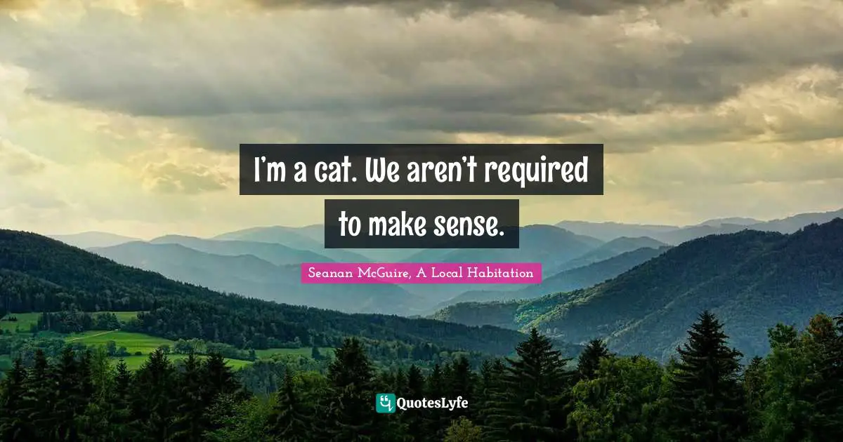 I’m a cat. We aren’t required to make sense.
