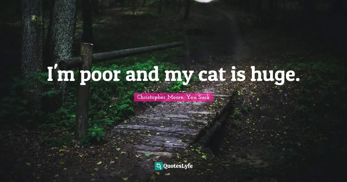 I'm poor and my cat is huge.