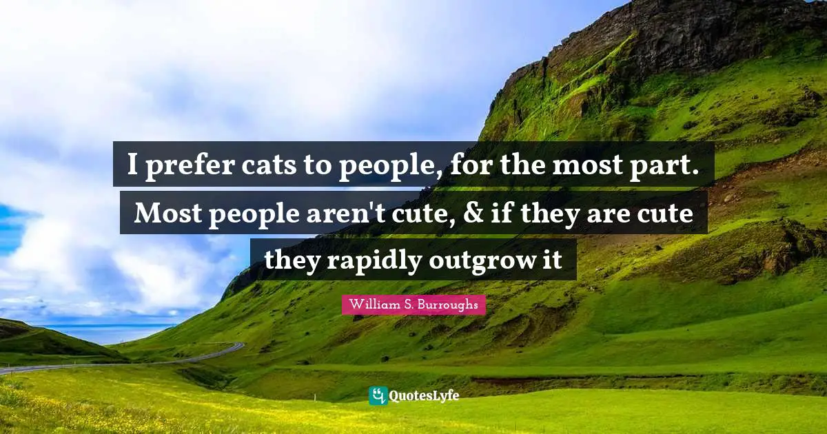 I prefer cats to people, for the most part. Most people aren't cute, & if they are cute they rapidly outgrow it