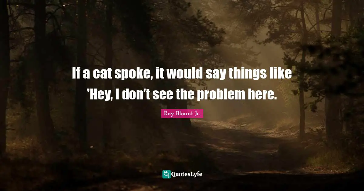If a cat spoke, it would say things like 'Hey, I don’t see the problem here.