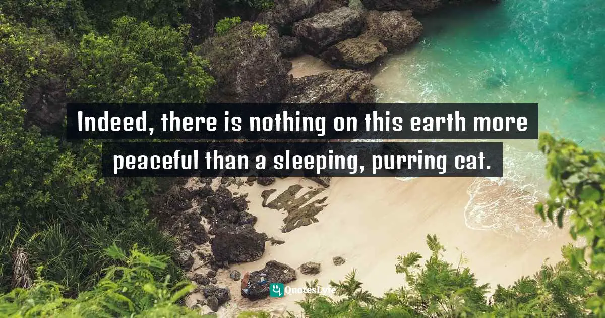 Indeed, there is nothing on this earth more peaceful than a sleeping, purring cat.