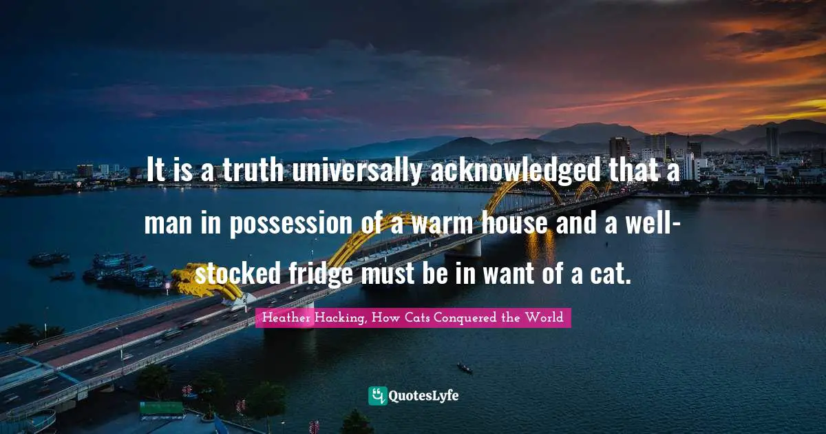It is a truth universally acknowledged that a man in possession of a warm house and a well-stocked fridge must be in want of a cat.