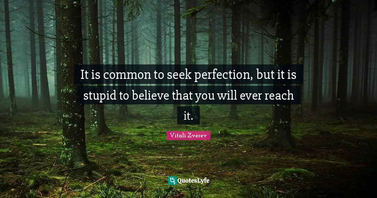It is common to seek perfection, but it is stupid to believe that you will ever reach it.