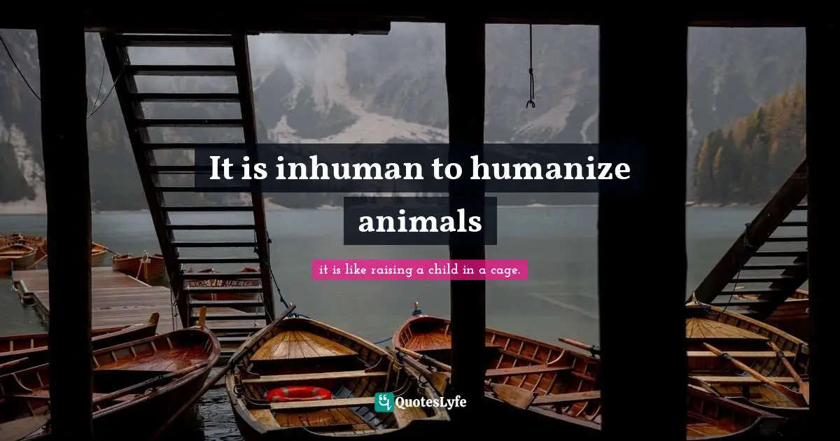 It is inhuman to humanize animals
