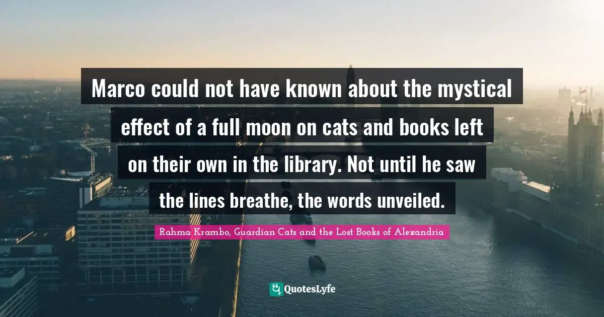 Marco could not have known about the mystical effect of a full moon on cats and books left on their own in the library. Not until he saw the lines breathe, the words unveiled.
