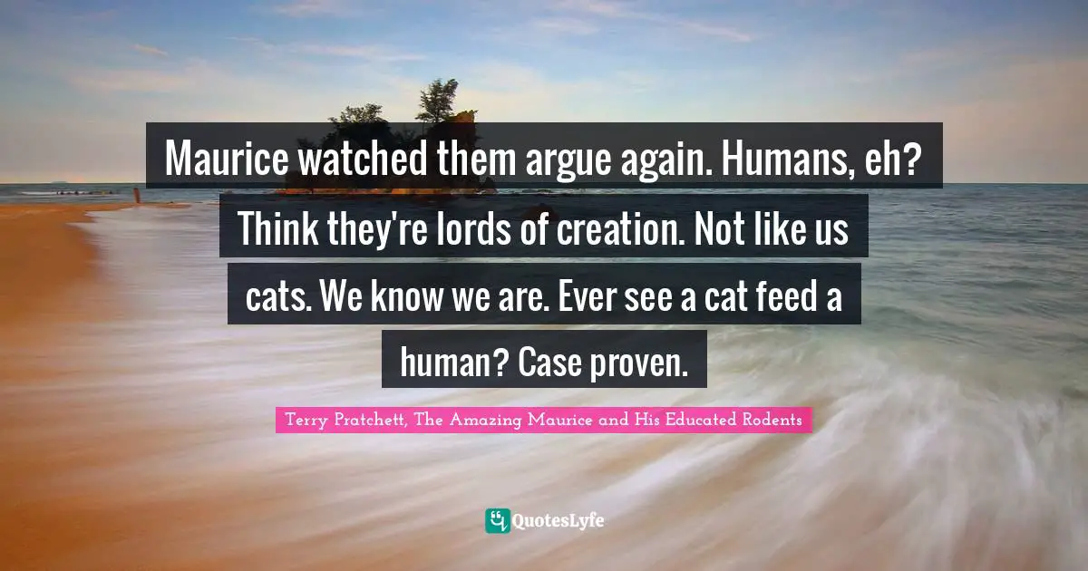 Maurice watched them argue again. Humans, eh? Think they're lords of creation. Not like us cats. We know we are. Ever see a cat feed a human? Case proven.