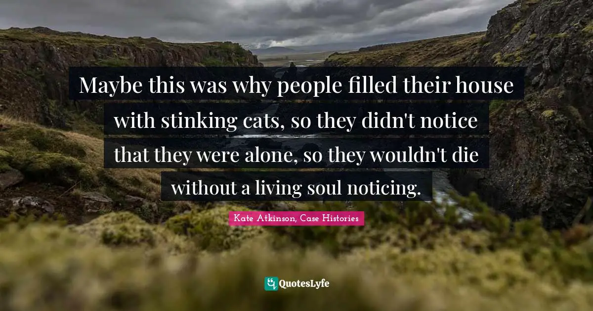 Maybe this was why people filled their house with stinking cats, so they didn't notice that they were alone, so they wouldn't die without a living soul noticing.
