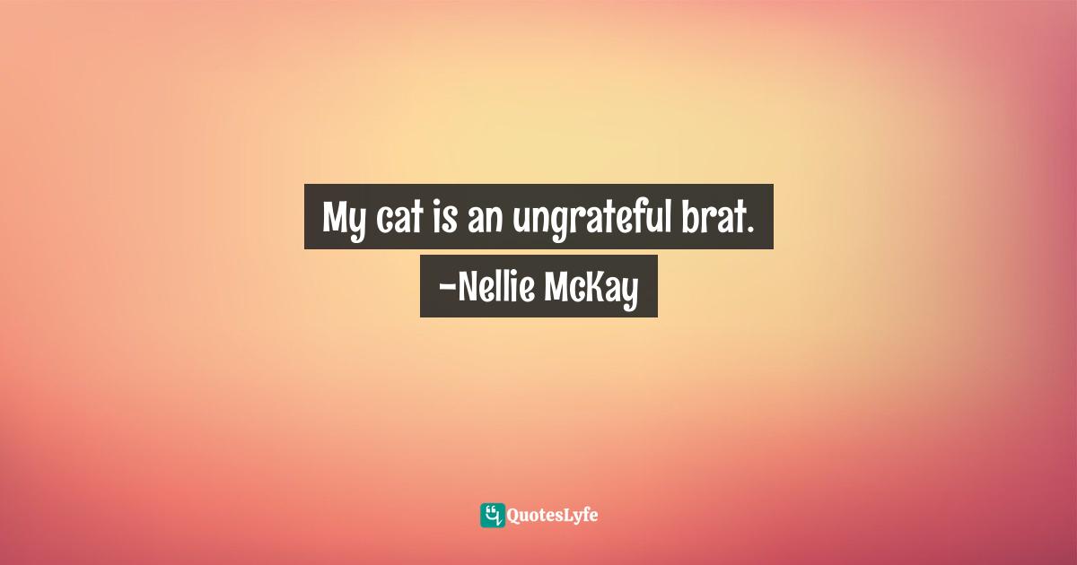 My cat is an ungrateful brat. -Nellie McKay