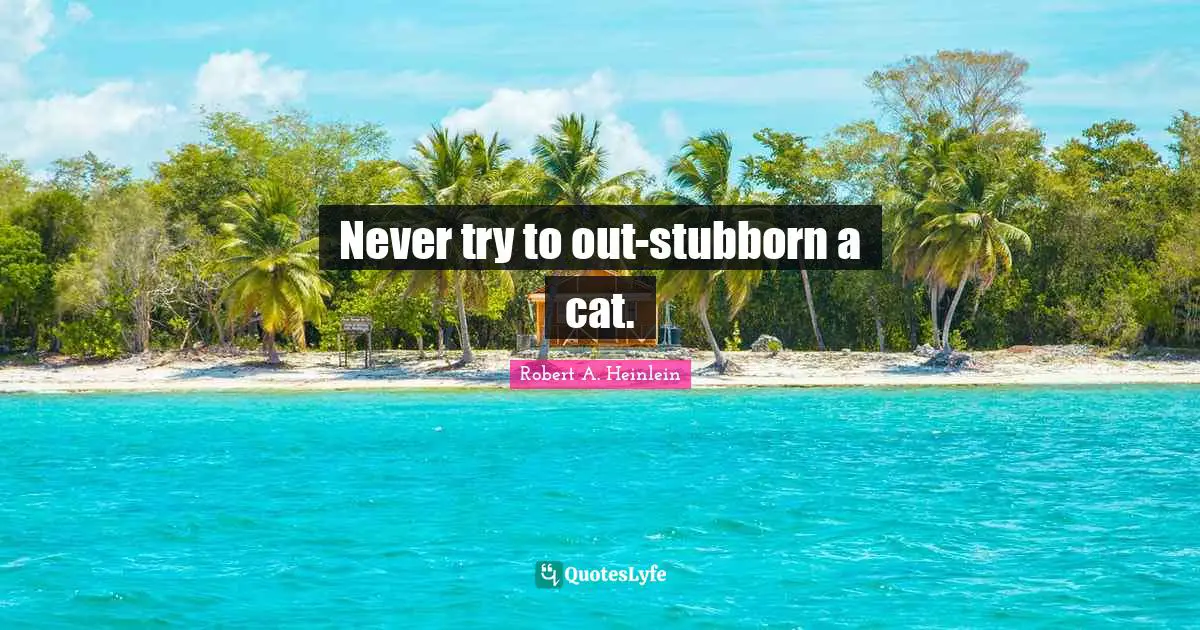 Never try to out-stubborn a cat.