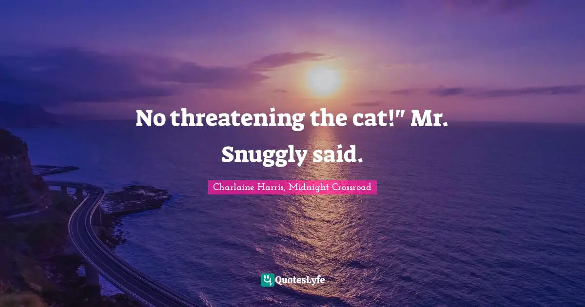 No threatening the cat!" Mr. Snuggly said.