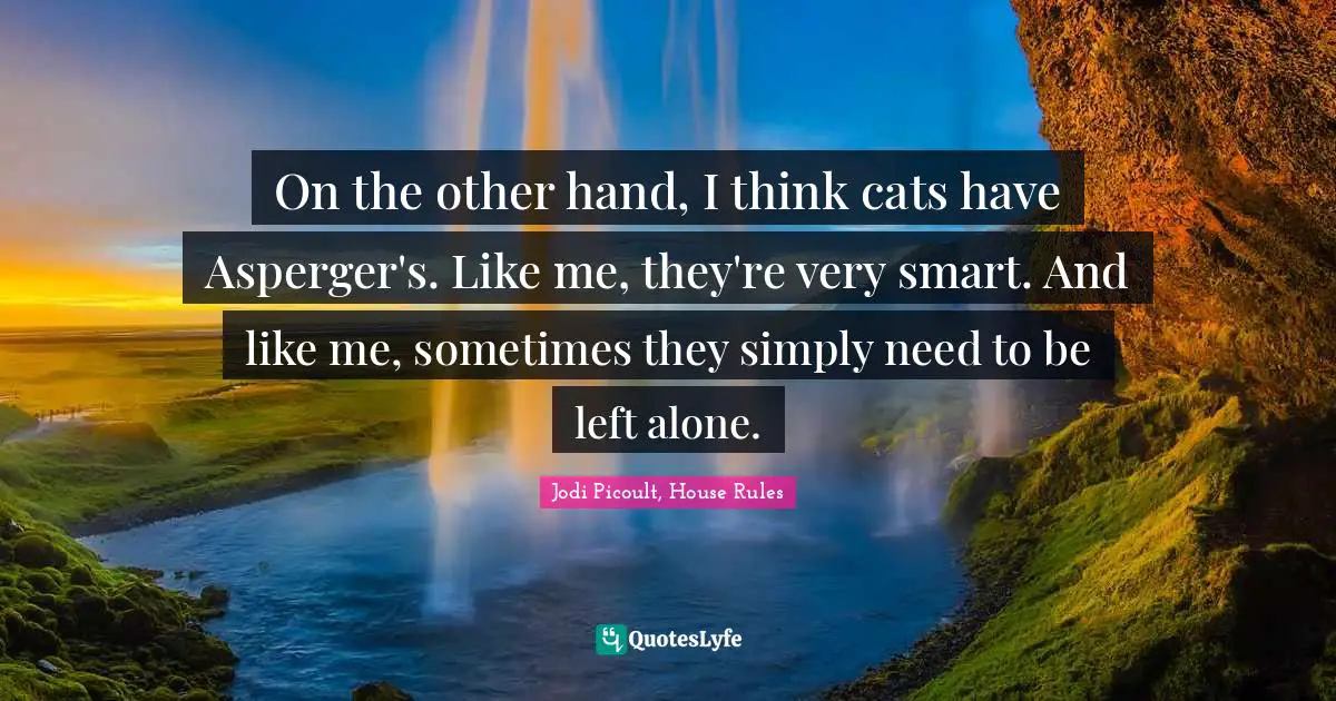 On the other hand, I think cats have Asperger's. Like me, they're very smart. And like me, sometimes they simply need to be left alone.
