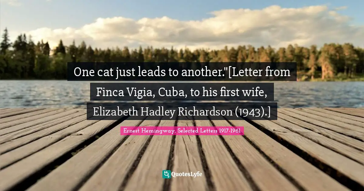 One cat just leads to another."[Letter from Finca Vigia, Cuba, to his first wife, Elizabeth Hadley Richardson (1943).]