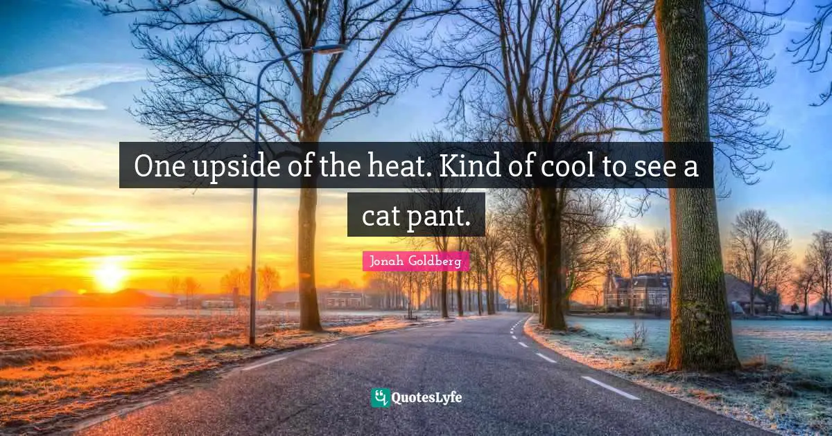 One upside of the heat. Kind of cool to see a cat pant.