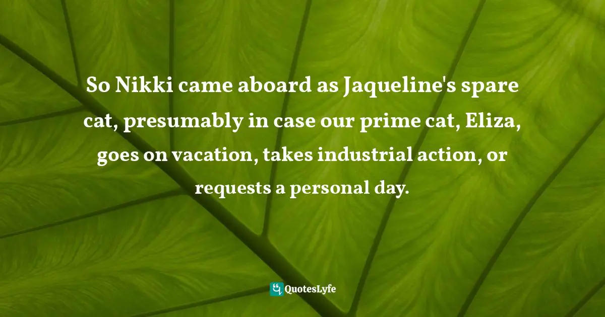 So Nikki came aboard as Jaqueline's spare cat, presumably in case our prime cat, Eliza, goes on vacation, takes industrial action, or requests a personal day.