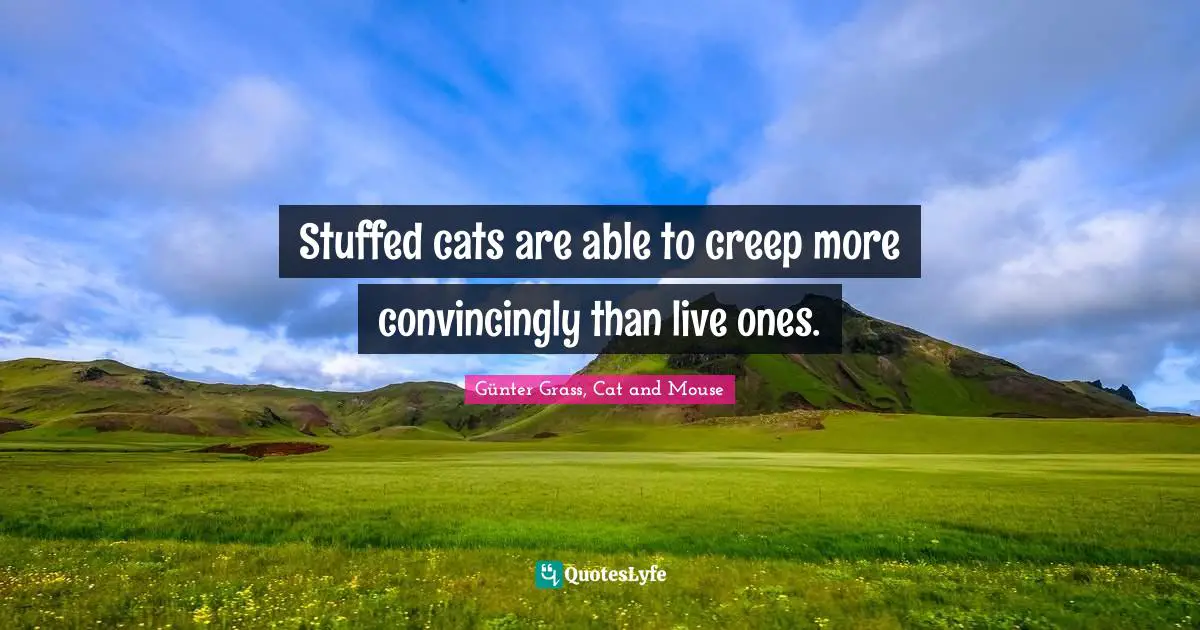 Stuffed cats are able to creep more convincingly than live ones.