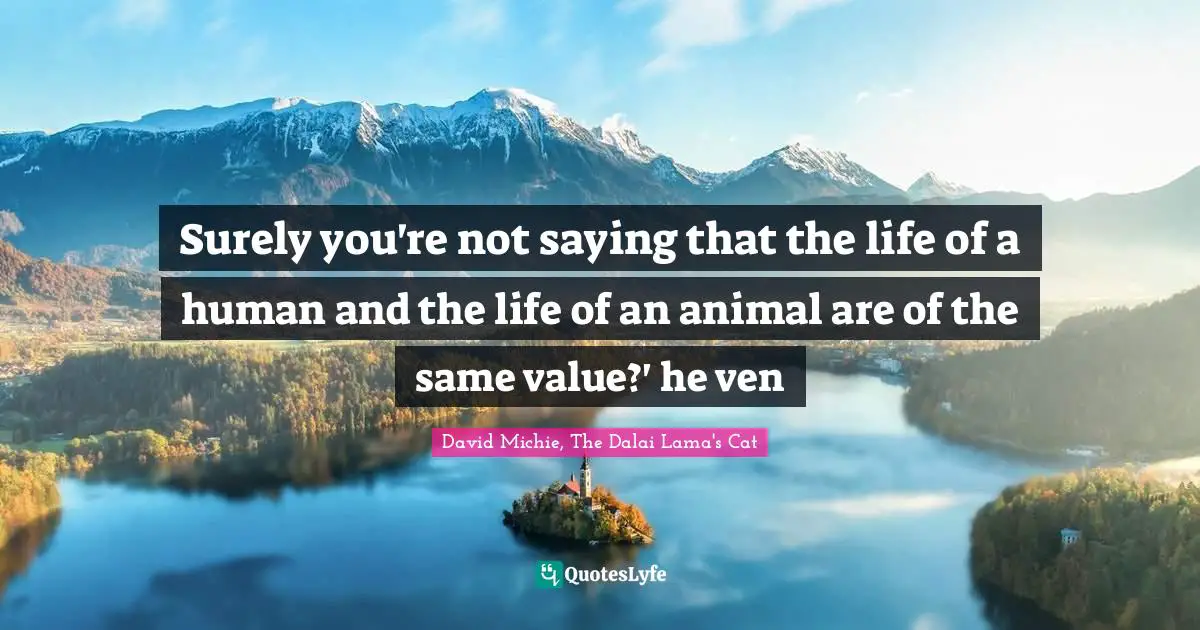 Surely you're not saying that the life of a human and the life of an animal are of the same value?' he ven