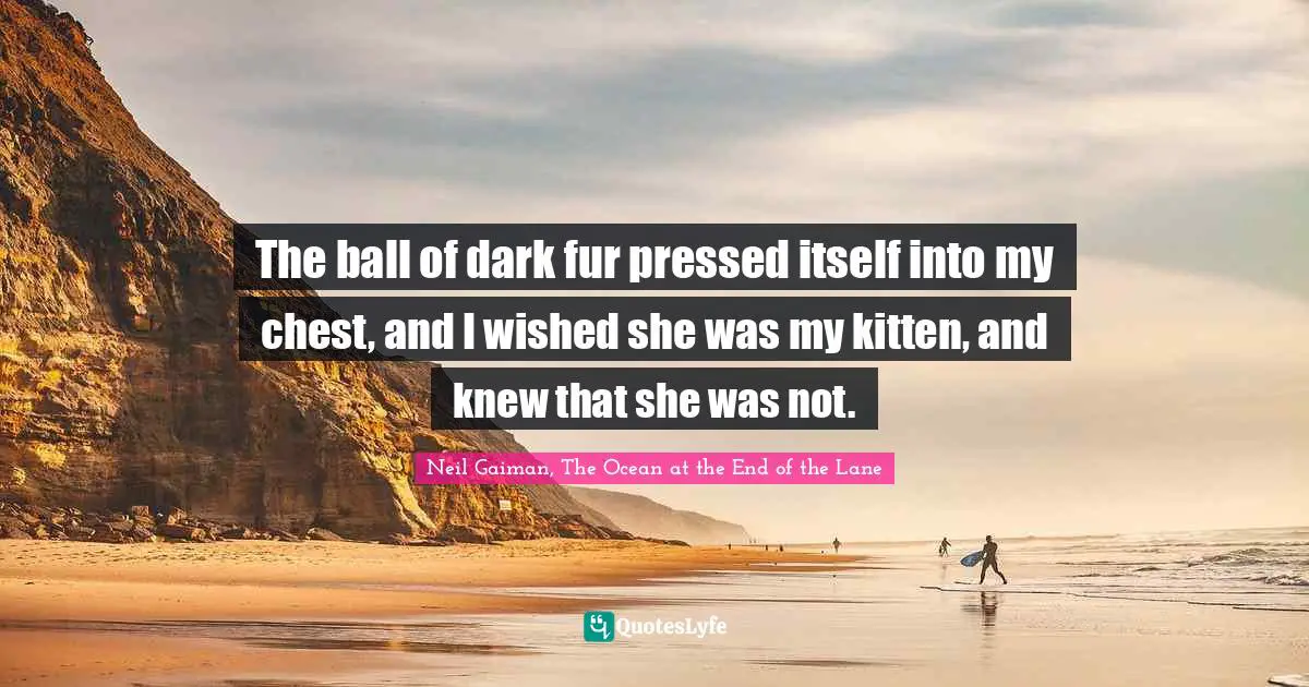 The ball of dark fur pressed itself into my chest, and I wished she was my kitten, and knew that she was not.