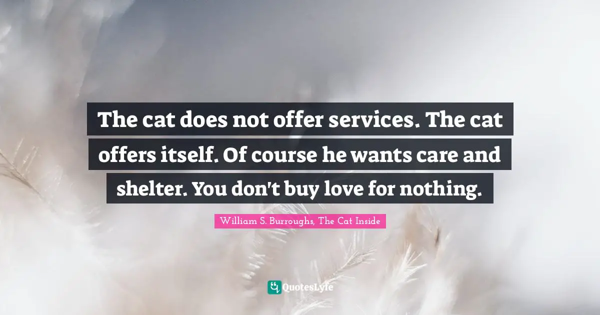 The cat does not offer services. The cat offers itself. Of course he wants care and shelter. You don't buy love for nothing.