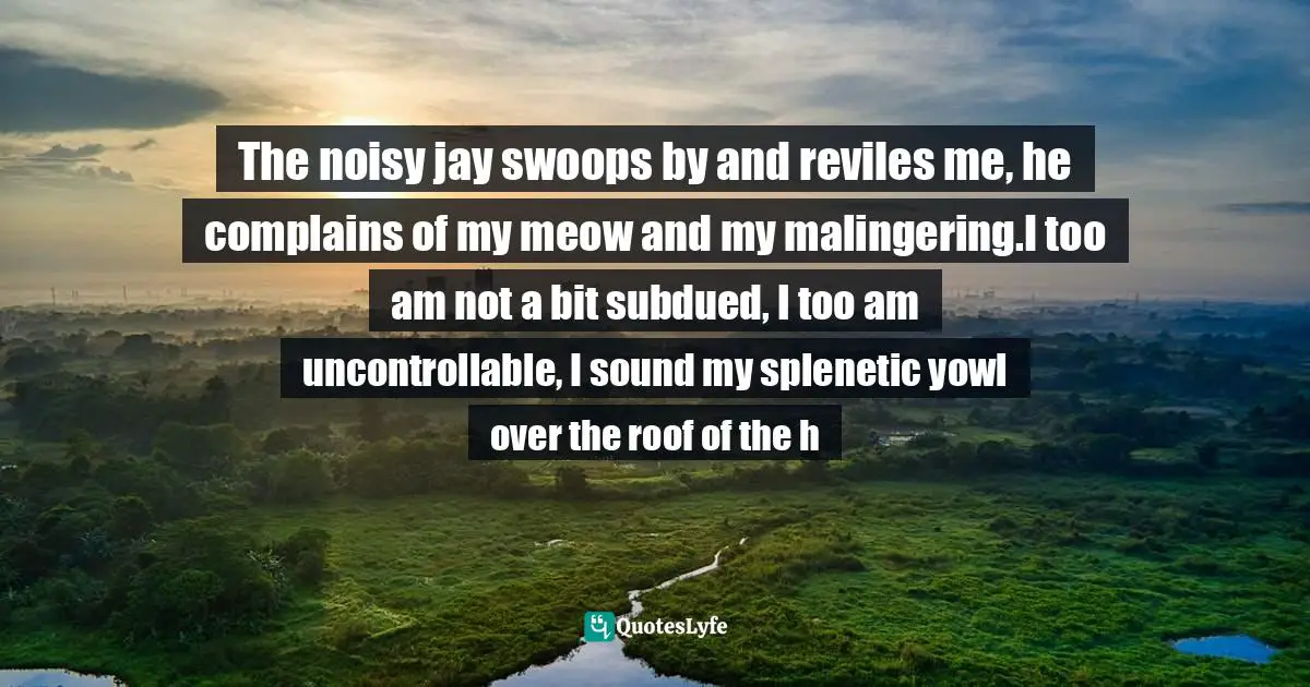 Leaves Of Grass Quotes: "The noisy jay swoops by and reviles me, he complains of my meow and my malingering.I too am not a bit subdued, I too am uncontrollable, I sound my splenetic yowl over the roof of the h"