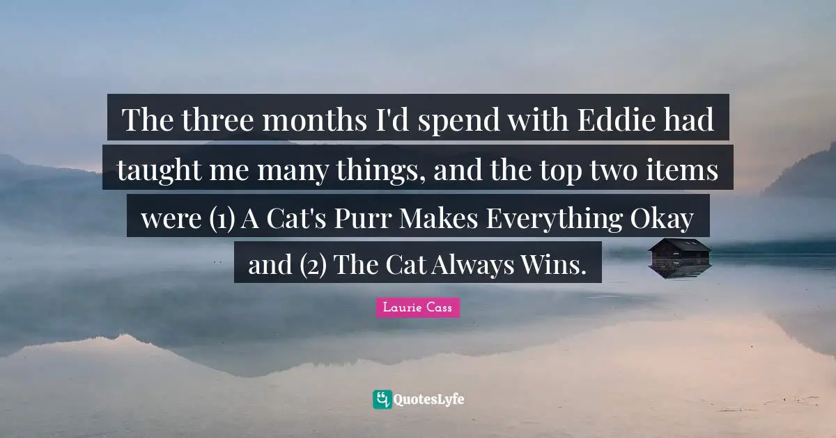 The three months I'd spend with Eddie had taught me many things, and the top two items were (1) A Cat's Purr Makes Everything Okay and (2) The Cat Always Wins.