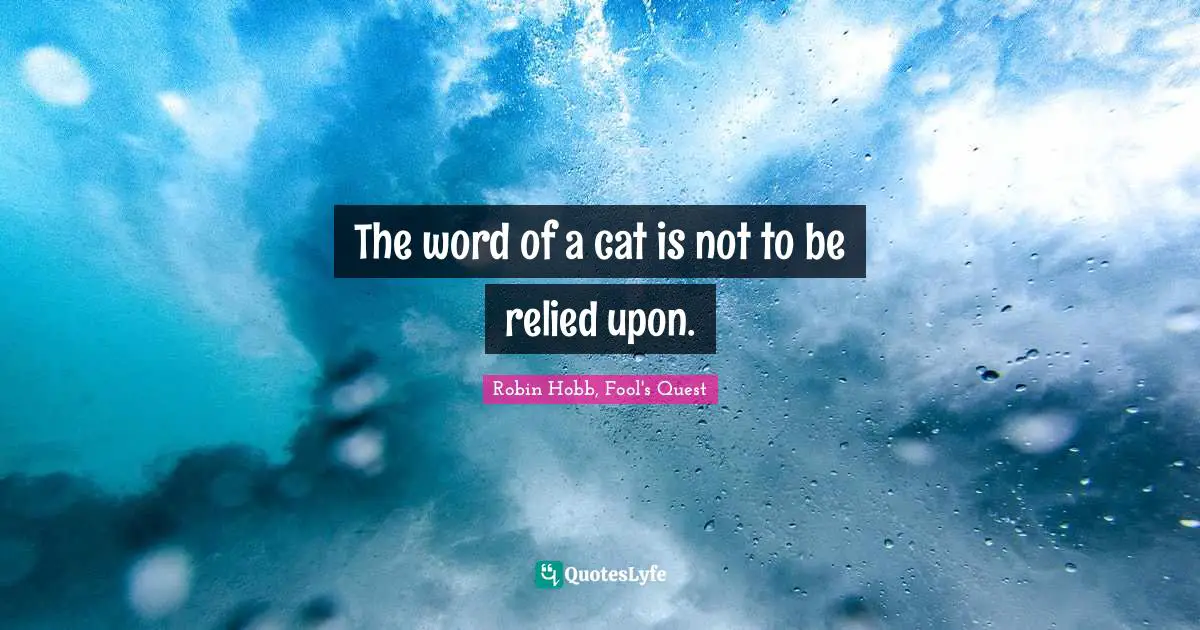 The word of a cat is not to be relied upon.